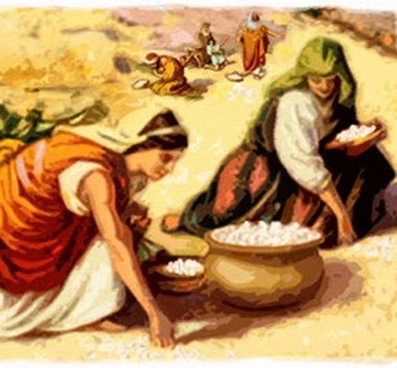 Is the Bible really my daily manna? Here's the Joy